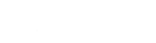 Cleanova Temizlik Hizmetleri